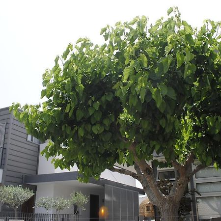 Agnanti Apartments Argaka Ngoại thất bức ảnh