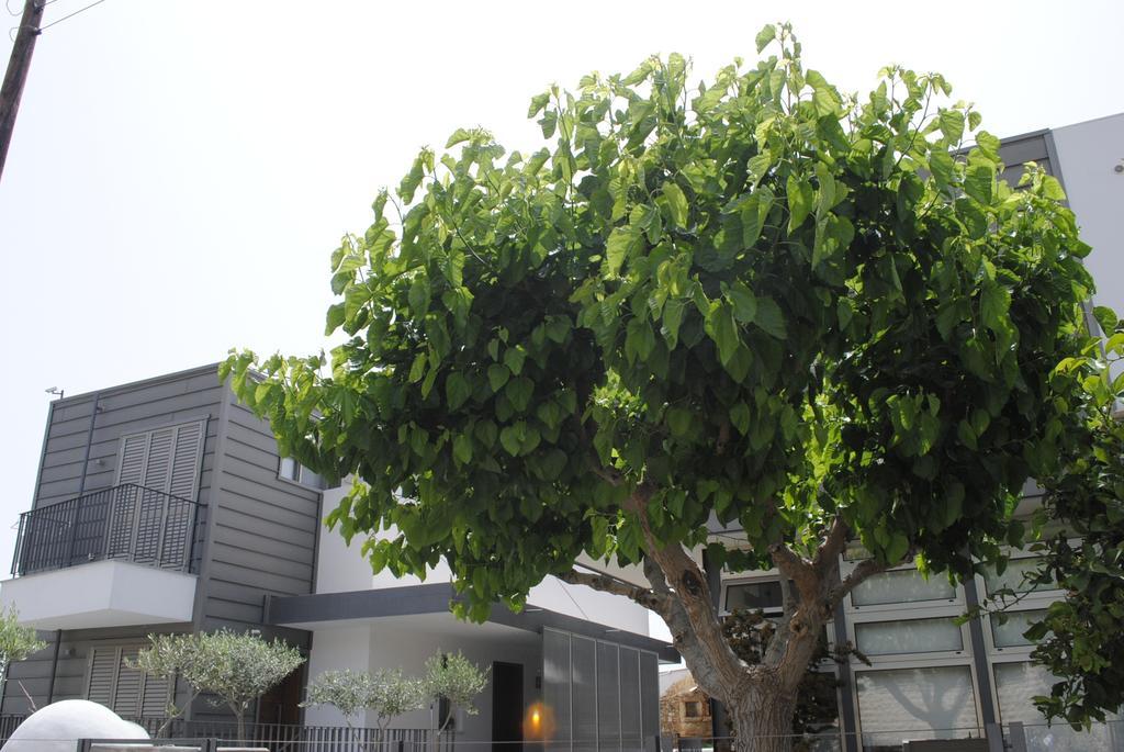 Agnanti Apartments Argaka Ngoại thất bức ảnh